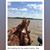 Sheri Bradshaw's profile image