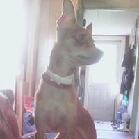 Marsha K. Cookson's profile image