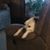 Barry Funke's profile image