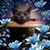 Stacey Duckett's profile image