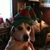 Oscar Roche's profile image