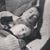 Sharon Kay Thompson's profile image