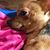Marlyn Webb's profile image