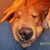 Edna Del Grosso's profile image