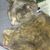 Susan J D'Arcy's profile image