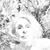 Sharon Rudd's profile image