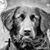 Bethany Knudson Heinrichs's profile image