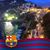 Arcos Catalan Ross's profile image