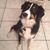Collette Sabin's profile image