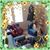 Jean Bloomer's profile image