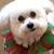 Sandra Standefer's profile image