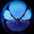 Carol Kruger's profile image