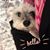 Caroline Moncion's profile image