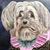 Courtney Malia Brown-Fish's profile image