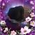 Vivis Rogel's profile image