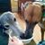 Yvonne Shafer's profile image