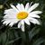 Mary M.'s profile image