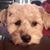 Rich Tavilla's profile image