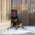 Deidre Whalen's profile image
