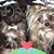 Susan Johnson's profile image