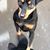 Cheri Johnstone's profile image