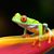 Steve Long's profile image