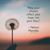 Sharon Smith Becker's profile image
