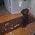 Doug Pierce's profile image