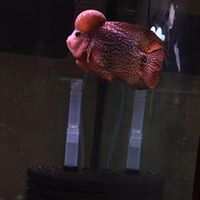 Bin Li's profile image