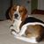 Sarah Tumelson's profile image