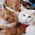 MaryJo Machacek's profile image