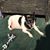 Patricia Butler's profile image
