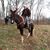 Richard Higginbotham's profile image
