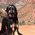 Pamela Detrick's profile image
