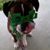 Aimee Nelson Hamon's profile image