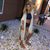 Courtney Renee Lake Gauthier's profile image