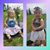 Laci Roeber's profile image