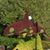 Camella Clark Daly's profile image