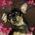Tameika Smith's profile image