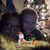 Teresa Loveless's profile image