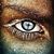 Dawn Skipper's profile image