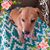 Daniella Rowe's profile image