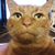 Zonya Davidson's profile image