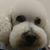 Frances Penn's profile image