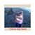 Tracy Boykin's profile image