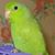 Liz Casey Stern's profile image