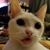 Hannah Fenani's profile image