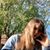 Tessa Rossi's profile image