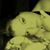 Chrys Castle's profile image