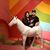 Yvonna Kabrel's profile image